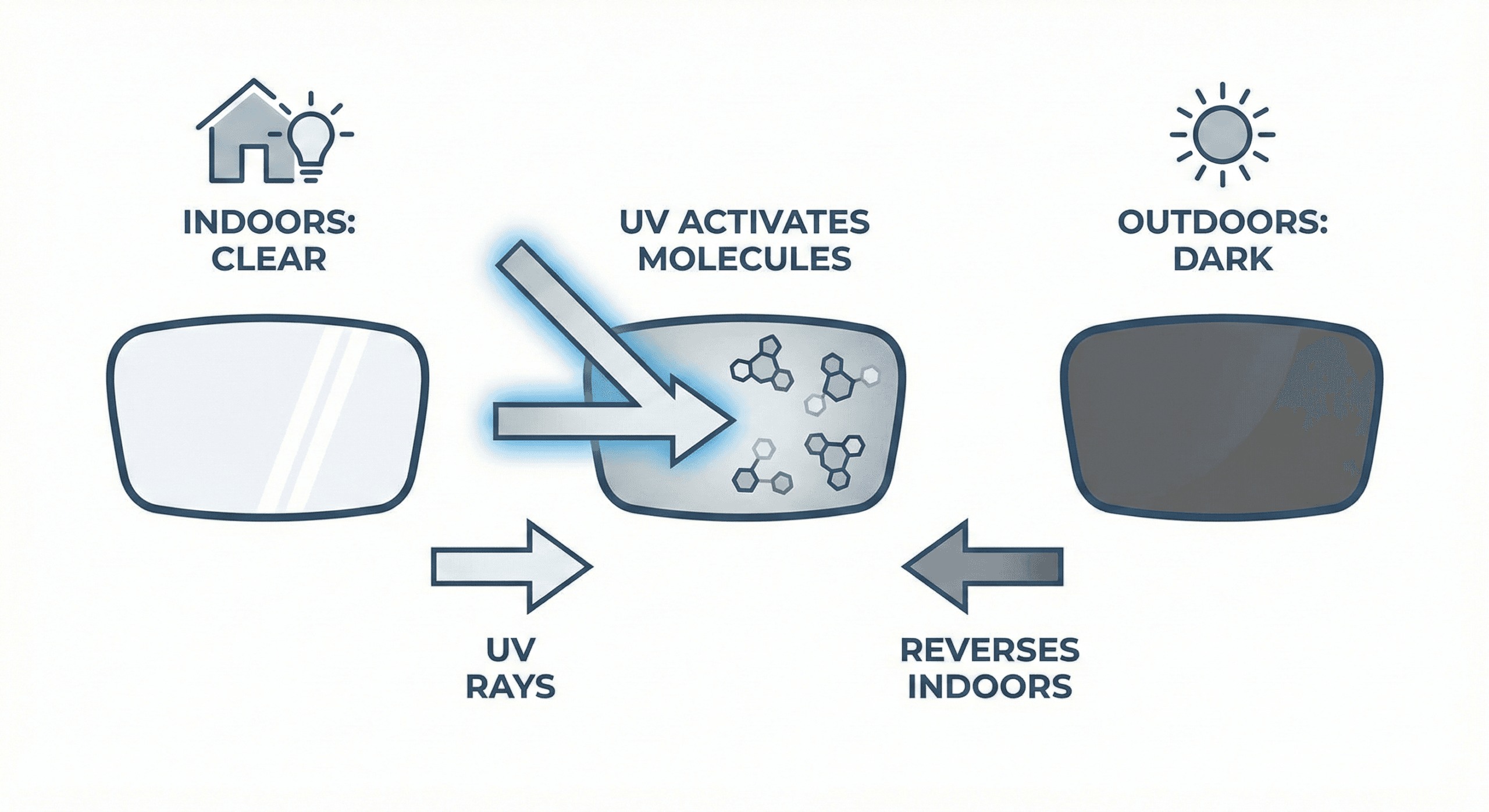 Phothochromic scaled