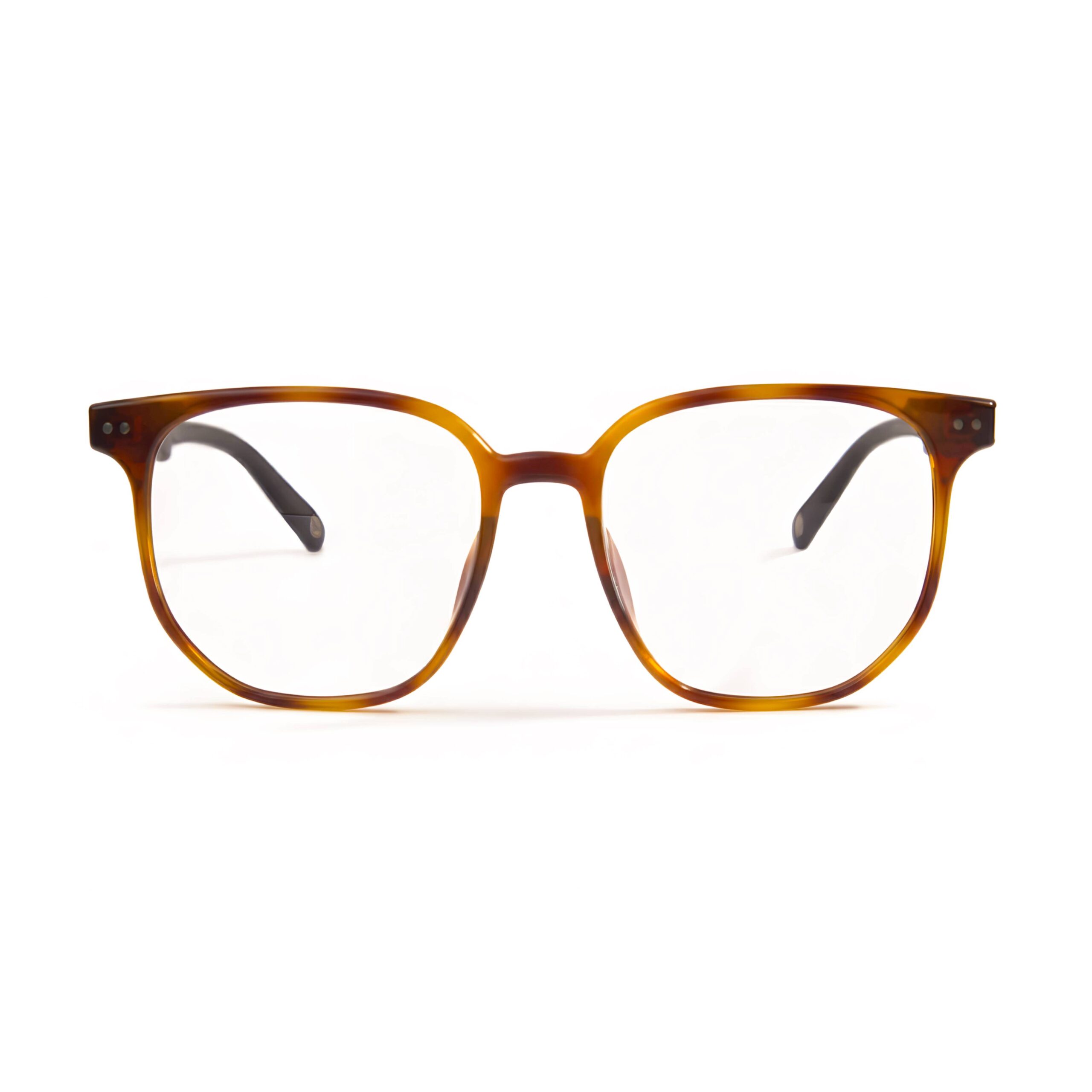 Duraflex Clubmaster Wave Tortoiseshell K9174 C32 1 1 scaled