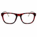 Aviator Tortoise Orange Colour