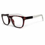 Aviator Tortoise Orange Colour 2