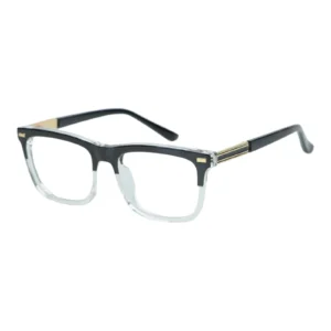 Dsf2306
