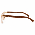 Classic Rectangular Brown Transparent Eyeglasses (1)
